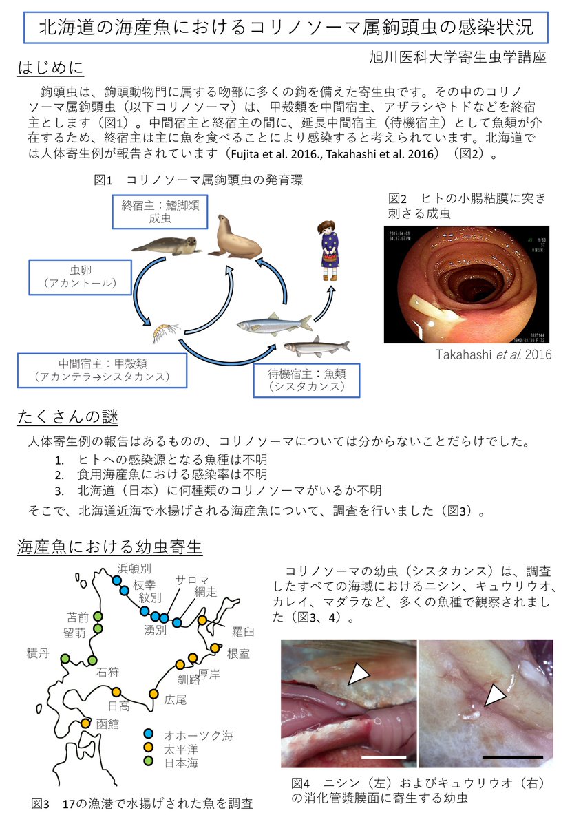 Twitter 上的 佐々木瑞希 旭川医大寄生虫 プレスリリース 北海道の海産魚のコリノソーマ属鉤頭虫寄生状況についての論文がinternational Journal Of Food Microbiologyに掲載されました T Co Jd7lieplrkプレスリリースが読めるのはツイッターだけ 取材等は