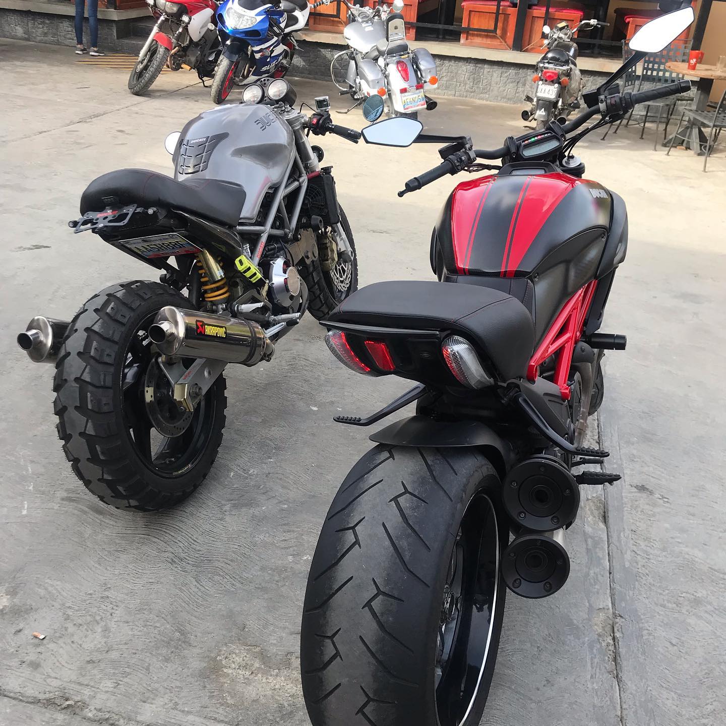 Ducati diavel 2024 cafe racer