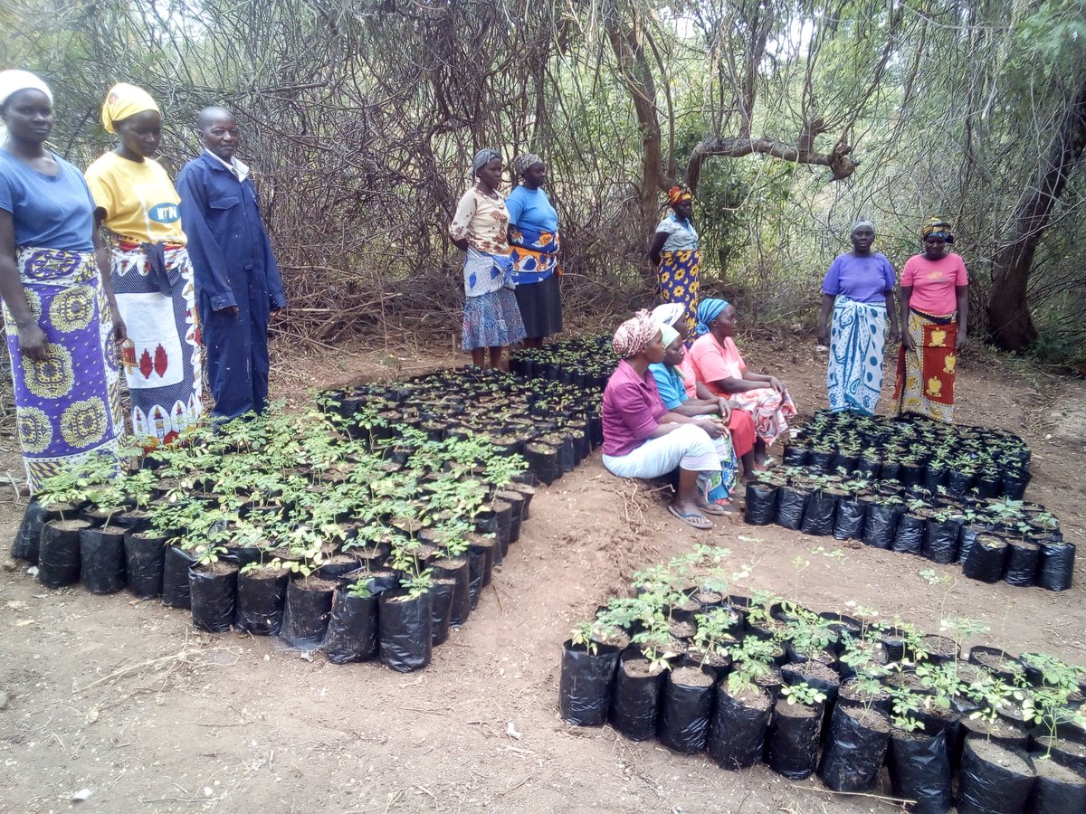 Soil,Water & Environmental Conservation Foundation tweet media
