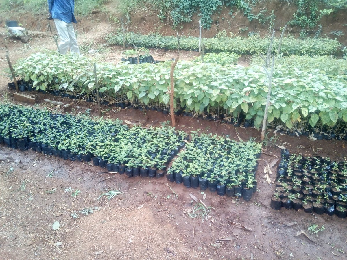 Soil,Water & Environmental Conservation Foundation tweet media