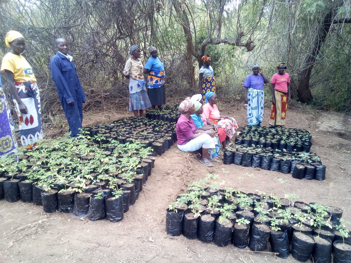 Soil,Water & Environmental Conservation Foundation tweet media