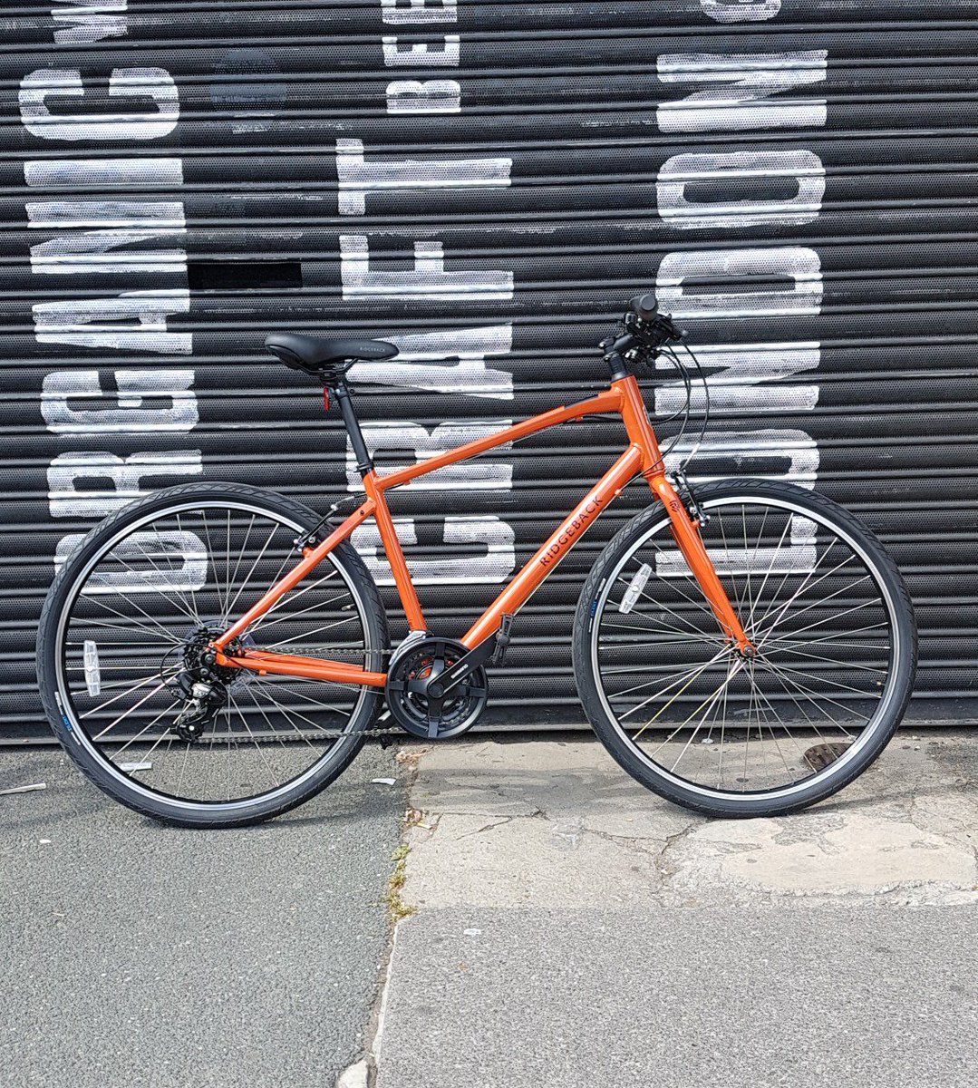 ridgeback motion 2020