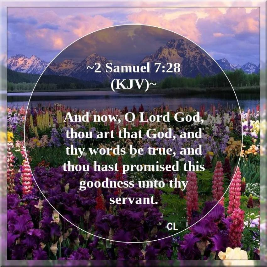 KyongHatchell's tweet photo. "Now therefore, may it please You to bless the house of Your servant, that it may continue forever before You. For You, O Lord God, have spoken; and with Your blessing may the house of Your servant be blessed forever."
- 2 Samuel 7:29

#Blessing https://t.co/dF2ev9c0cm