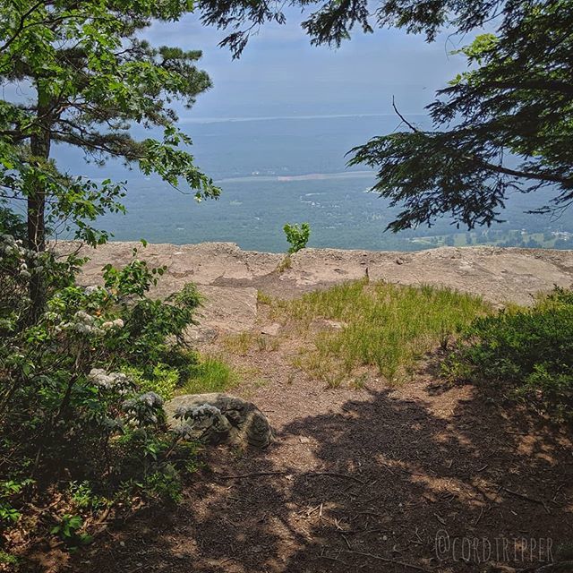 cordtripper's tweet photo. Overlook over the Hudson Valley
....
....
....
....
....
#post674 #cordtripper #catskills #newyork #overlook #clearing #cliff #hikingadventures #hudsonvalley #goldenhour #nature #forest #traveling #photography #travelphotography #travelpics #stamped #artofvisuals #exploringt… https://t.co/eRPNMKdrNV