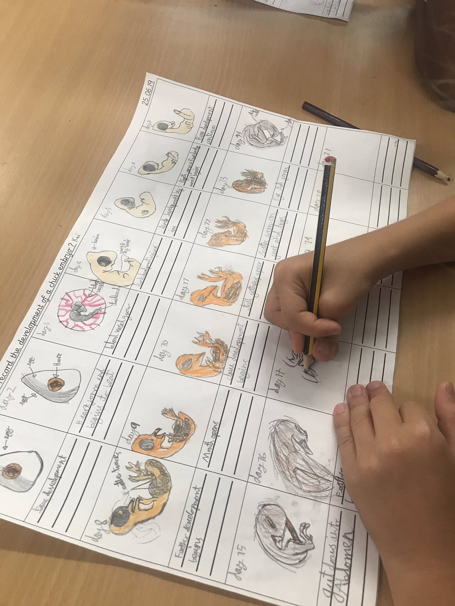 FairLawn Primary School | Welcome to Fairlawn Primary School FairLawn Primary School | Welcome to Fairlawn Primary School