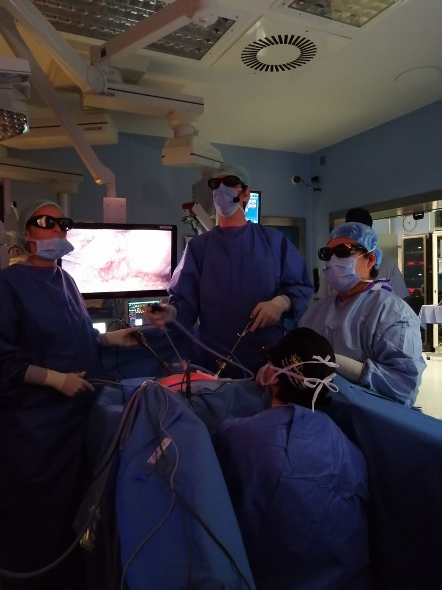 Demostración de cirugía en directo con el Dr. <a href="/Pere_N_Barri/">Pere N Barri</a> y la Dra. <a href="/nuria_barbany/">Nuria Barbany Freixa</a>