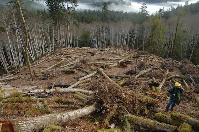 a2mp3_'s tweet photo. @CryptoVanessa the $USD is only Worth what the Printing Machines can Print in 24h. 
https://t.co/aR04L7DSQ9
@realDonaldTrump how many Trees we Cut off Daily for this Old Paper Money? https://t.co/B9cilHYcN1
