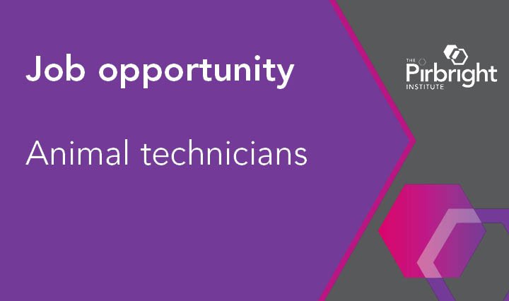 #Jobs: We are looking for two animal technicians. Application deadline: 15.08.2019, Ref: 19P-56 ow.ly/oQca50uUnAn