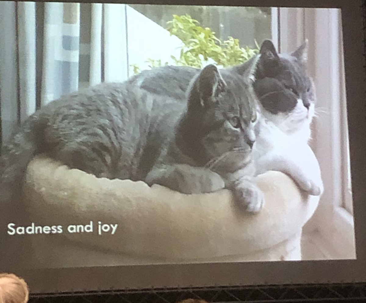 OyebanjiAdewumi's tweet photo. ‘Culture is not in brick and mortar’ ‘Recovery isn’t linear’ #StrongerTogether ‘You have sadness before joy’ Thanks #Lisa, pleased to hear the encouraging words to go ahead with #changeIdea if your intention is to do good for patients #OP2W @WeImproveBarts https://t.co/aFd7DcTtg5