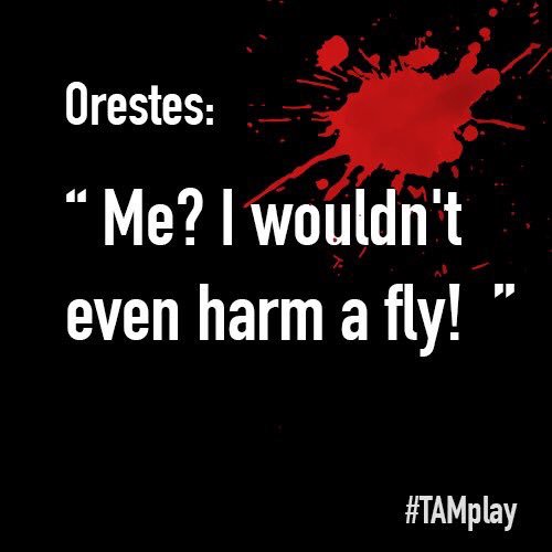 to_becreative's tweet photo. "Me? I wouldn't even harm a fly!" #TAMPlay #camdenfringe https://t.co/SajpsZAFjZ