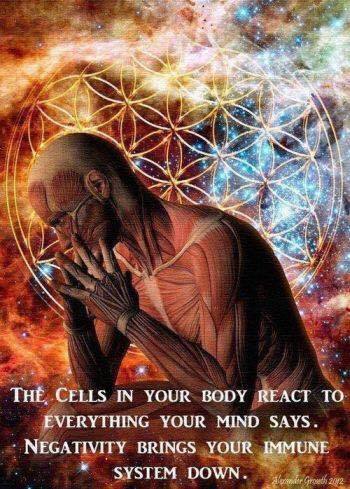 ShantiDevaCh's tweet photo. #ayurveda #ayurvedic #lugano #cantonticino https://t.co/DKOkMLWcCF