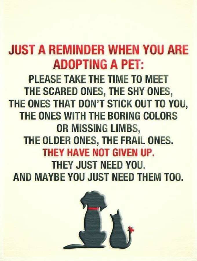 🐾🐾