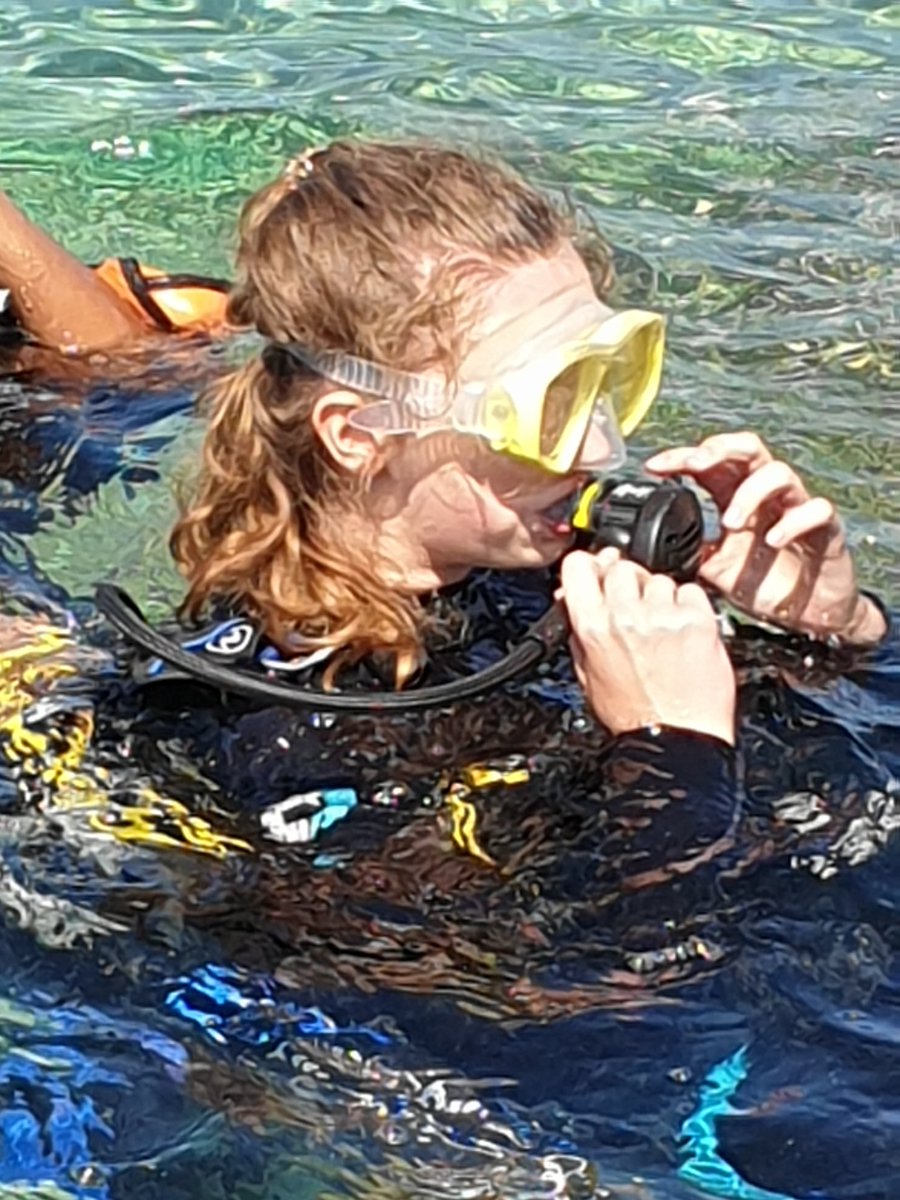 HAEC_Croatia's tweet photo. All students that are diving have completed their first dives. Well done all of you https://t.co/EGpSnGXhNc