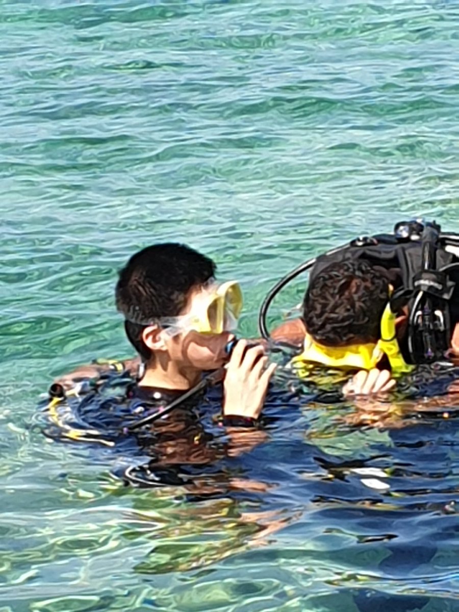 HAEC_Croatia's tweet photo. All students that are diving have completed their first dives. Well done all of you https://t.co/EGpSnGXhNc