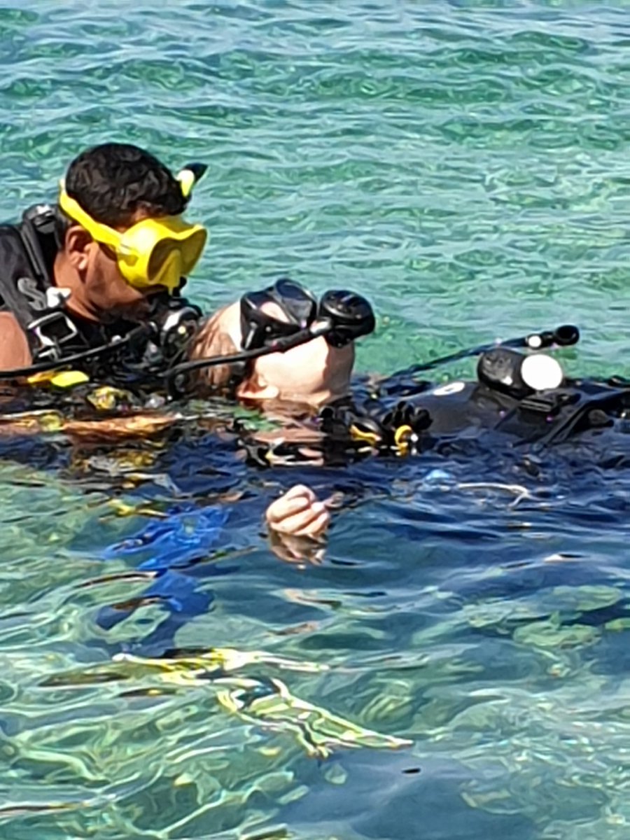 HAEC_Croatia's tweet photo. All students that are diving have completed their first dives. Well done all of you https://t.co/EGpSnGXhNc