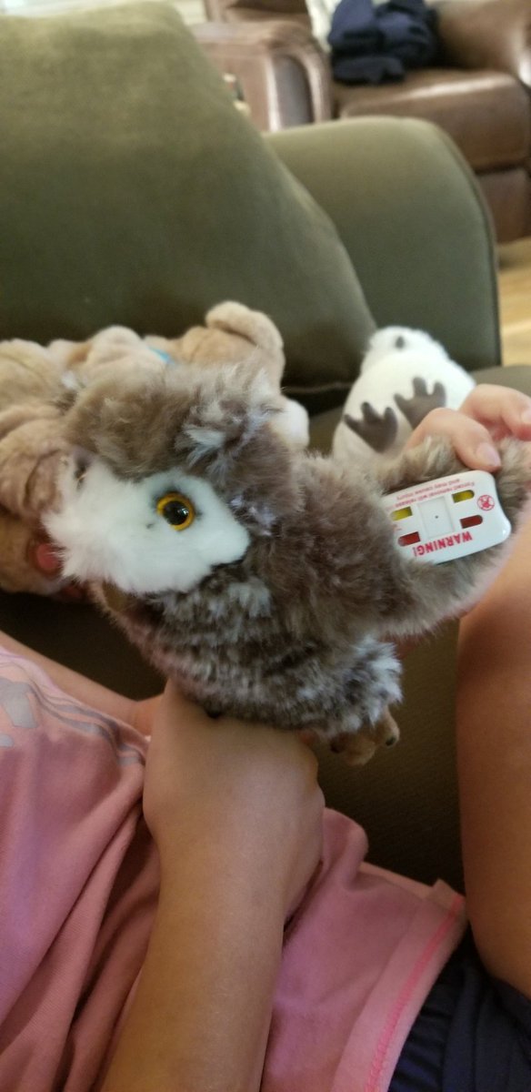 msnyder1282's tweet photo. Great stay at @portofino_bay this week but somehow left their @UniversalORL store with a security tag on Pigwidgeon. Now back in PA, any way to safely remove it?? Thanks https://t.co/s0KX9WaGCE