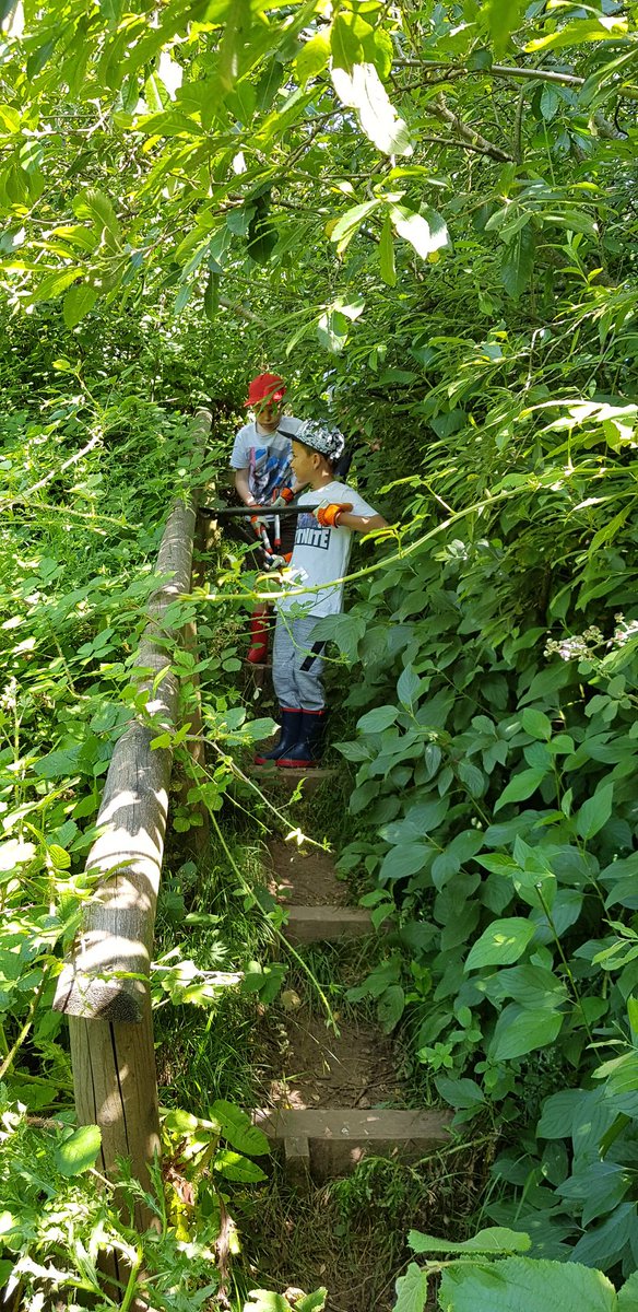 Well done yr3 @MrYendleHCIW from @HenllysCIW doing some #access improvements. @KWT_Torfaen <a href="/TorfaenEcology/">Steve Williams</a>