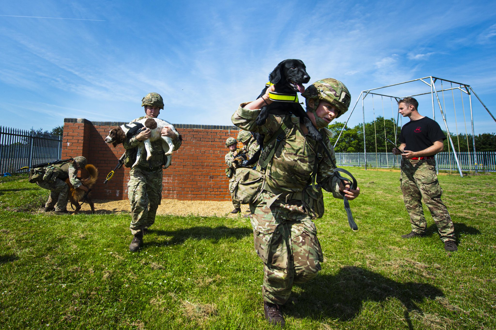 British Army on Twitter "Man and dog in perfect harmony! This week