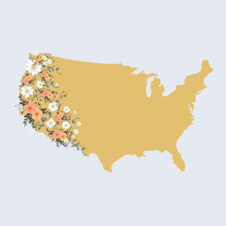 boldavenue's tweet image. Bouquet-by-text service @petalfox's clever delivery area map: buff.ly/2XyQJpl #DesignFind #DesignFindFriday