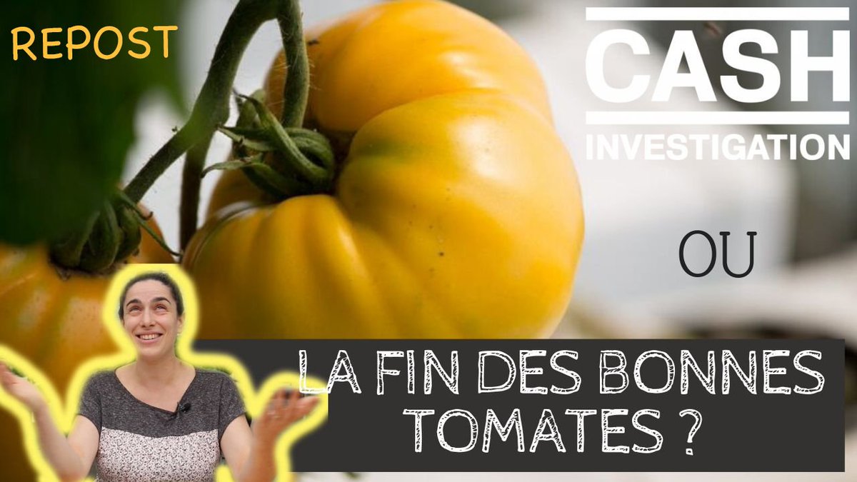 Marion Les Sourciers tweet media