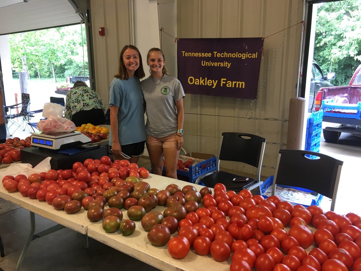 GrrrRiner's tweet photo. Bought some Tennessee Tech tomatoes at the Rutherford County Farmer’s Market this morning! Happy to see my alma mater in the Boro @tntech_cahe https://t.co/KgTLmDnJ69