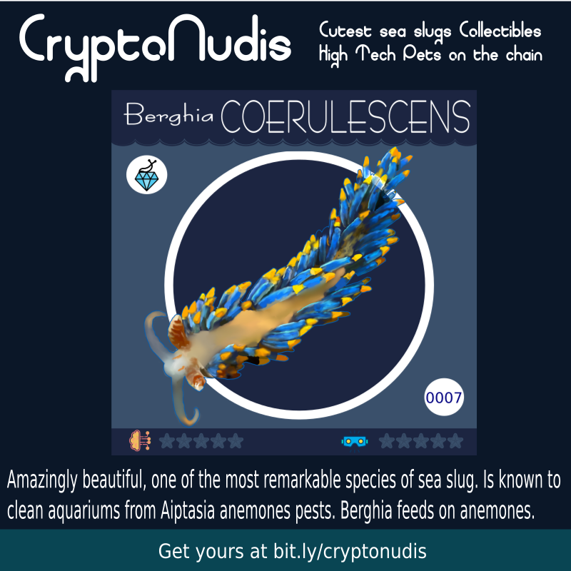 Amazingly beautiful, one of the most remarkable species of sea slug. Is known to clean aquariums from Aiptasia anemones pests. Berghia feeds on anemones.

Check it out 
opensea.io/assets/0x48718…