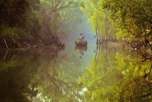 NagerWilliam's tweet photo. These trip cover the Sundarban World largest Mangrove forest is home to diverse wildlife where mysterious Royal Bengal Tiger behind the points &amp; Srimangal is the accessible rain forest. Tea plantation region famous for its Ape and Macaque. https://t.co/bKLClpXbaD
#bangladeshtour https://t.co/RifrHVtiIQ