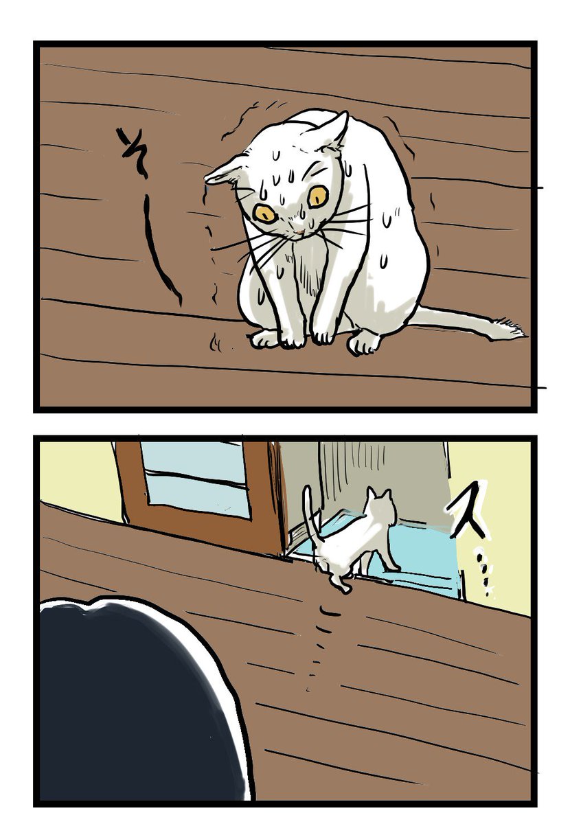 2015年くらいに描いた、しっぽが分かれてきた猫の漫画です。
1/3 