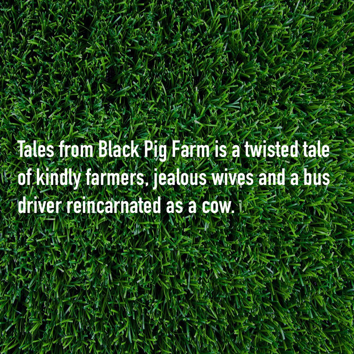 Tales from Black Pig Farm
Seven Inch Album

Face review from 1999.

Remastered. Repackaged. Reissued.
September 27th 2019.

#seveninch #blackpigfarm