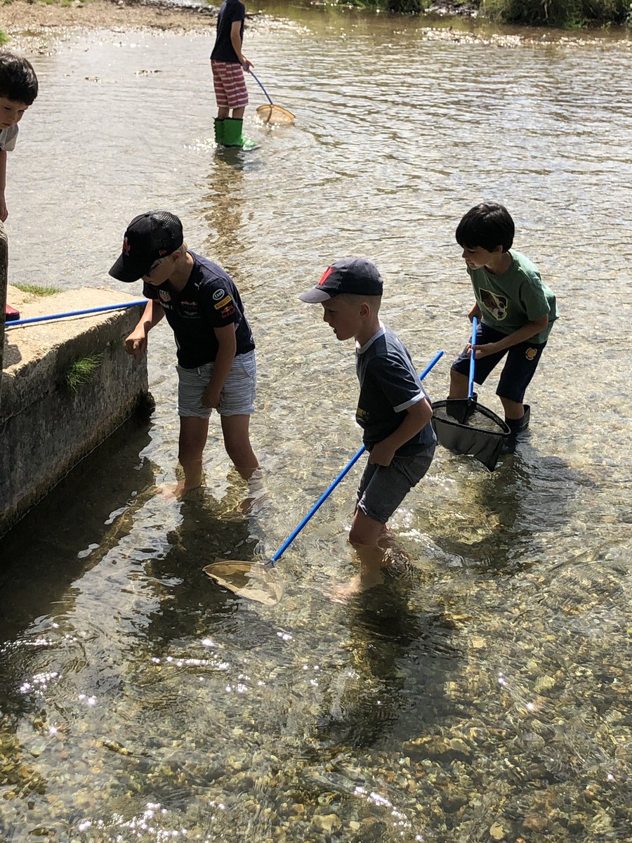 ThorngroveBeech's tweet photo. Another day at #TGSummerCamp and some #wildswimming (or paddling) at a beautiful spot! https://t.co/tVmWkXGyHu