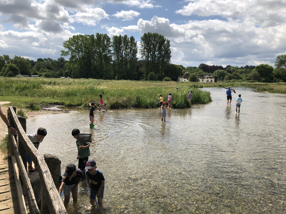 ThorngroveBeech's tweet photo. Another day at #TGSummerCamp and some #wildswimming (or paddling) at a beautiful spot! https://t.co/tVmWkXGyHu