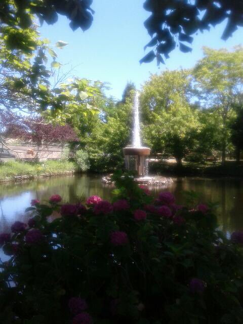 MH DES ESGAULX tweet media