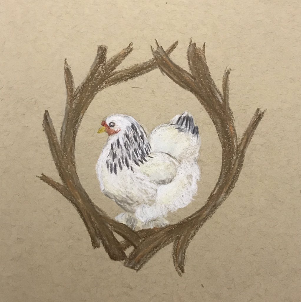Elizardc_Arts's tweet photo. This is a Brahma #Chicken. Aren’t they just wonderful? They’re these giant fluffy chicken things. 
Day 12: Chicken
205/365
#birdsofjuly #birdsofjuly2019 #edcbirdsofjuly #prismacolorpencils #prismacolor #tonedpaper #birb #bird #colouredpencil #traditionalart #drawingchallenge https://t.co/dETDIRX08v