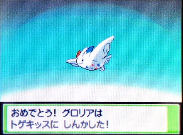 しゅんy12 シュンパゴ パークゴルフ Auf Twitter 久々にポケモンssを楽しんだ いまでも十二分に楽しいポケモン第4世代 トゲキッスにグロリアと名付けてみたりもしましたw アニポケのヒカリのトゲキッスの声と みんなのゴルフに登場するグロリアの声優さんが同じ