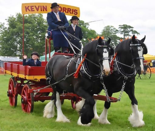 BromStandard's tweet image. Animals R Magic this weekend at Hanbury's Jinney Ring Craft Centre - bromsgrovestandard.co.uk/news/animals-r…