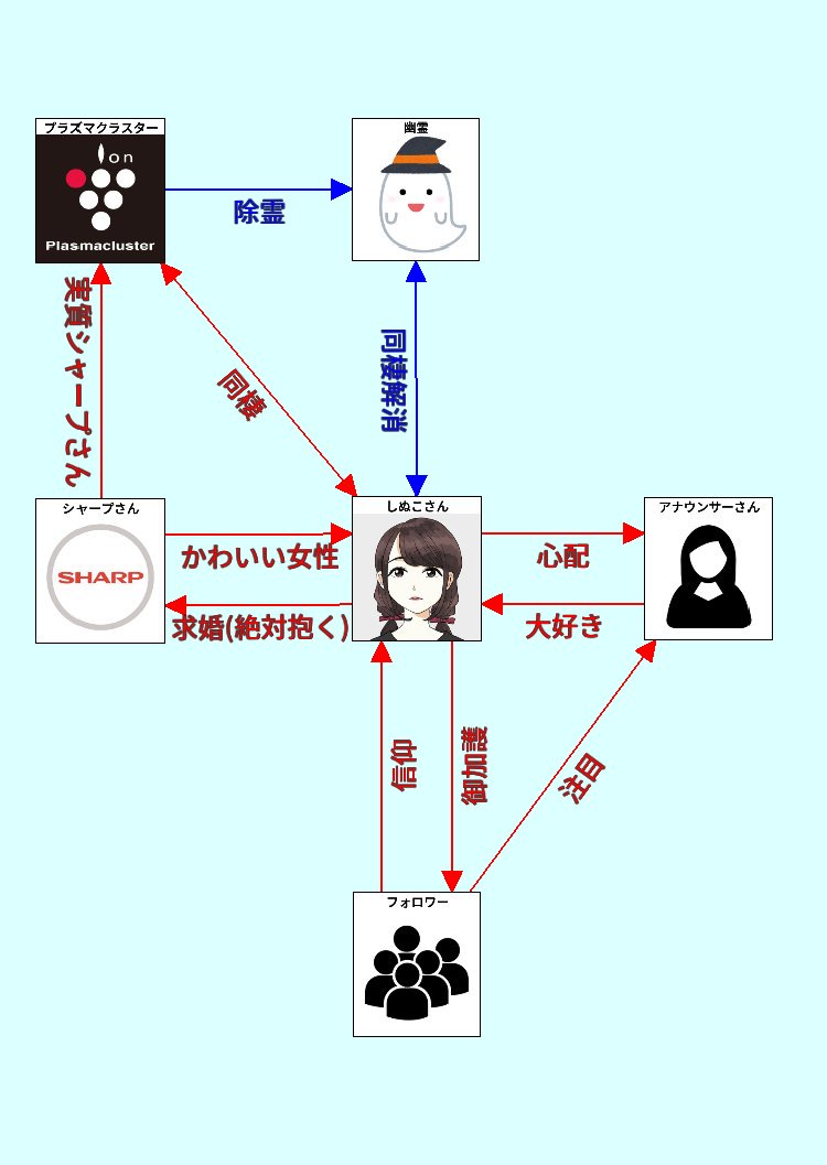 し ぬこ 年齢