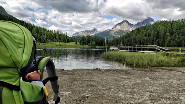zuja1983's tweet photo. 🇨🇭Posti dove ho la fortuna di tornare e tornare e tornare...🇨🇭 #lejdastaz #switzerland #swiss #travel #nature #engadin #stmoritz #love #mountains #photography #instagood #suisse #photooftheday #picoftheday #baby #beautiful #lake #landscape #swissalps #su… https://t.co/aUhDwMQ6yd https://t.co/TSpwBysJoK