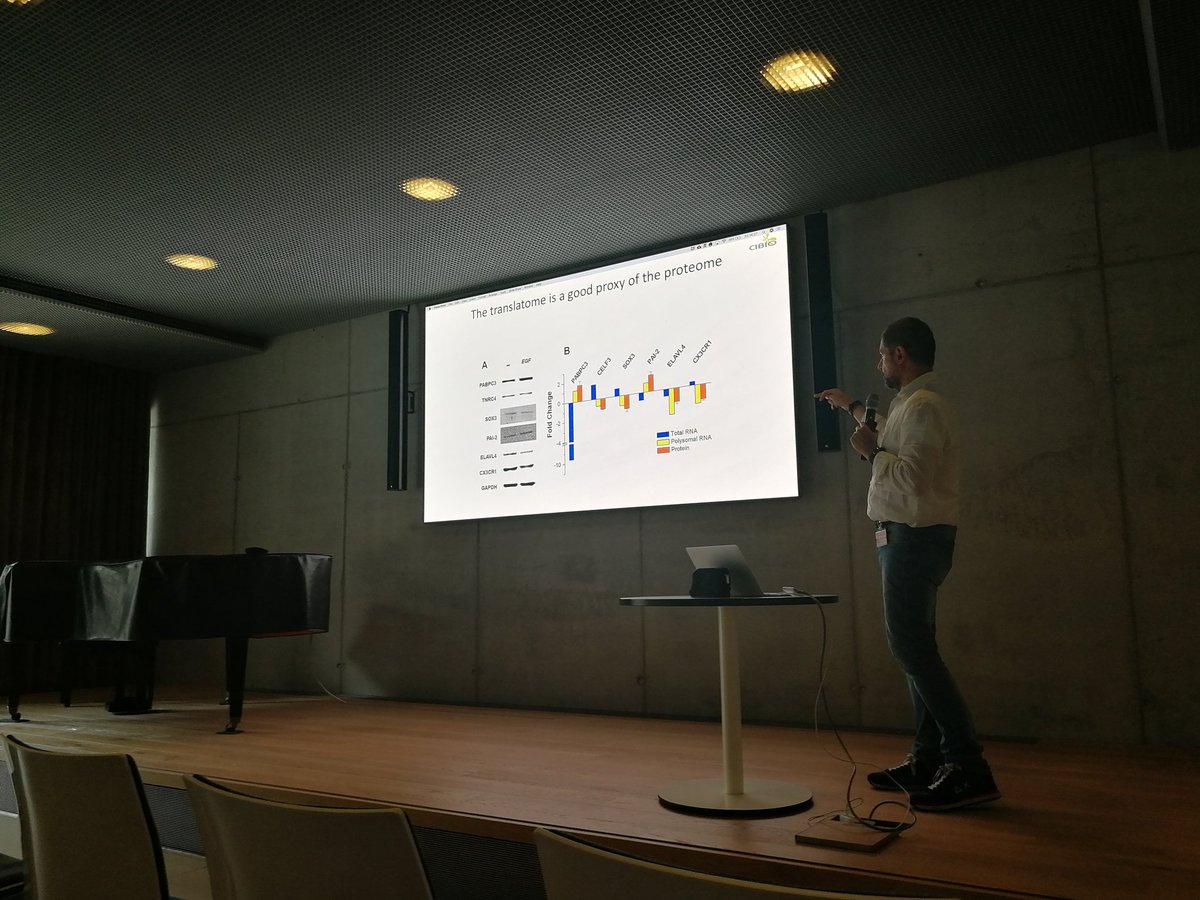 In Berlin visiting the wonderful <a href="/BIMSB_MDC/">MDC-BIMSB</a>, hosted by <a href="/N_Rajewsky/">Nikolaus Rajewsky</a> to talk about translation and single cell technologies with <a href="/quetantro/">Alessandro Quattrone</a> <a href="/CIBIO_UniTrento/">CIBIO - UniTrento</a>