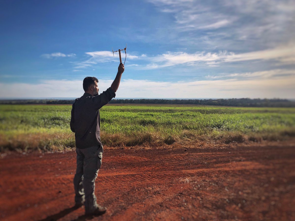 hugocmcosta's tweet photo. Com o apoio do Programa de Bolsas Funbio estamos estudando o conflito entre queixadas e a produção de grãos em Mato Grosso. Queremos entender melhor o problema para encontrar uma solução para o conflito #funbio
#bolsasfunbio #humanize #institutohumanize #conservandoofuturo https://t.co/So8Nw10GiX