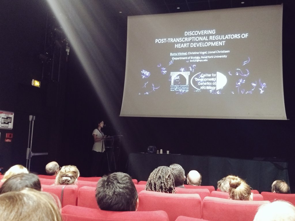 RacioppiClaudia's tweet photo. Amazing work presented by @burcuvitrinel on how heart and pharyngeal regulators are controlled after their transcription @lionlchristiaen #Tunicate2019 #ITM10th https://t.co/76Ovu3ThJm