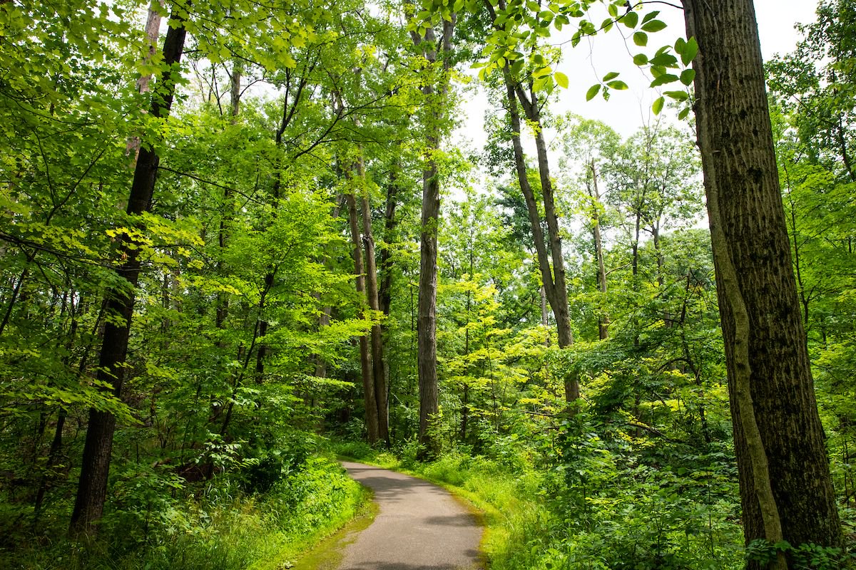 clevemetroparks's tweet photo. Welcome to the weekly edition of #FreeFridays! Check out all of the FREE programs you can enjoy in your Cleveland Metroparks, this weekend: https://t.co/QOR5QY78oW 🌳 #TimeToExplore https://t.co/KZOYEN6GWq