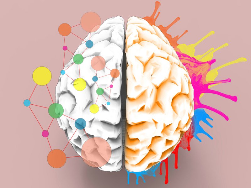 adage's tweet photo. How neuroscience equips us to become better creators https://t.co/aNoT9h5SMP https://t.co/66O97S5NyU