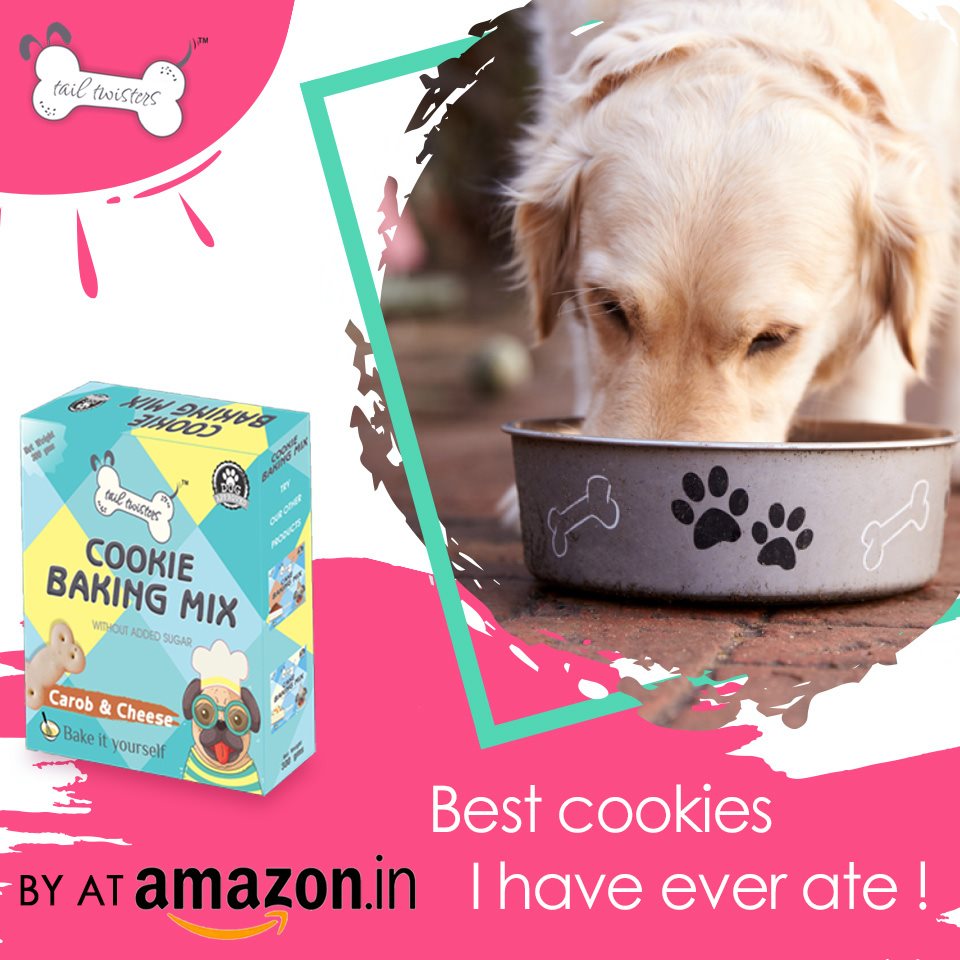 tail_twisters's tweet photo. Tail Twister's Cake and Cookies mix is 100% veg and is surely a delicious treat for your baby. Don't miss the opportunity and order now from Amazon.

Link: https://t.co/KmQzbAM7h0

#dogs #puppies #cutedog #dogfood #homemadedogfood #tastydogfood #lovefordogs https://t.co/aHG8jW3urF