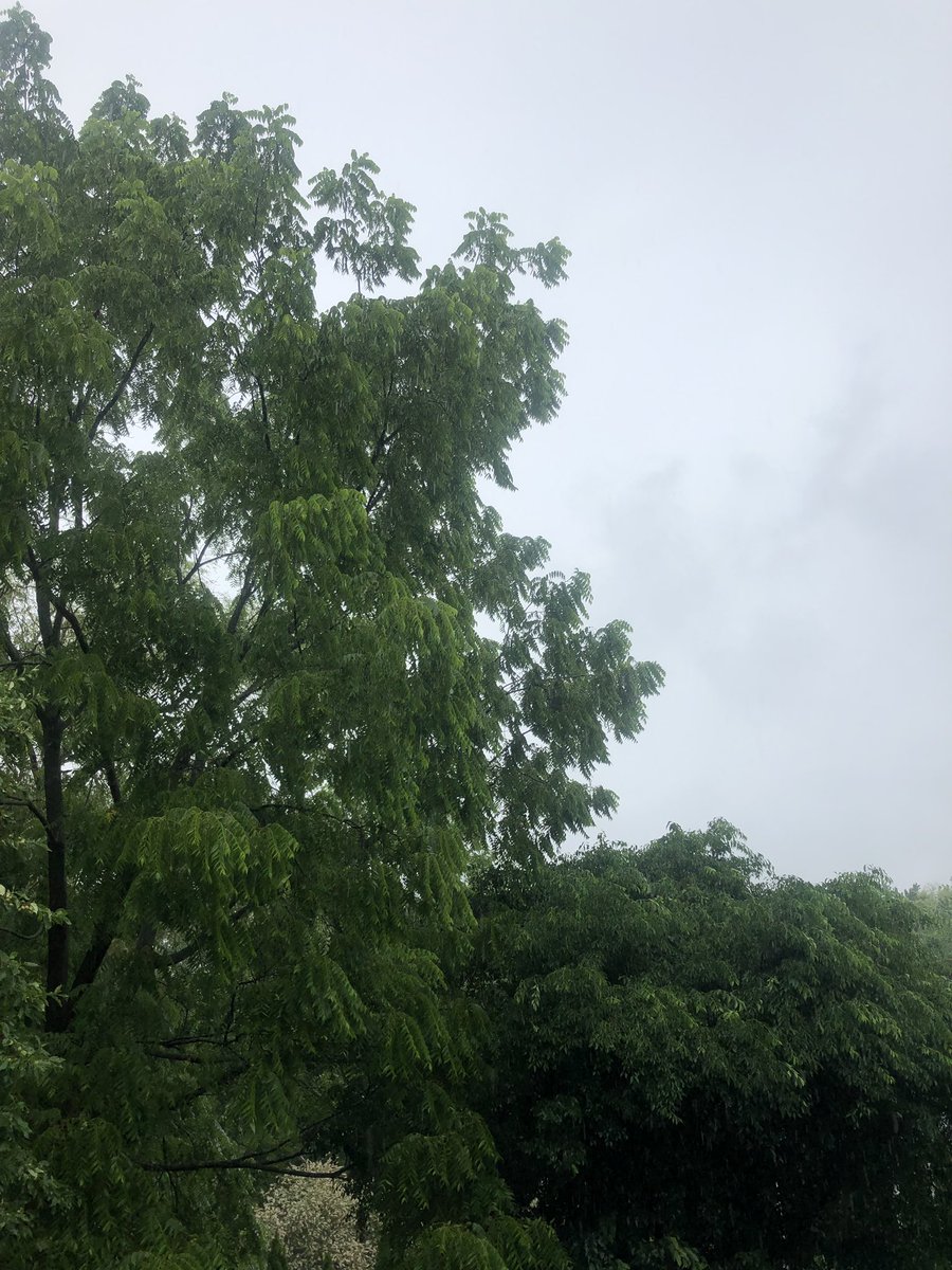 LaughingGullSB's tweet photo. It looks like we’re going to see the sun, and you at the beach tomorrow!  Happy lazy Friday! #nobeach https://t.co/y4nYgdwGzm