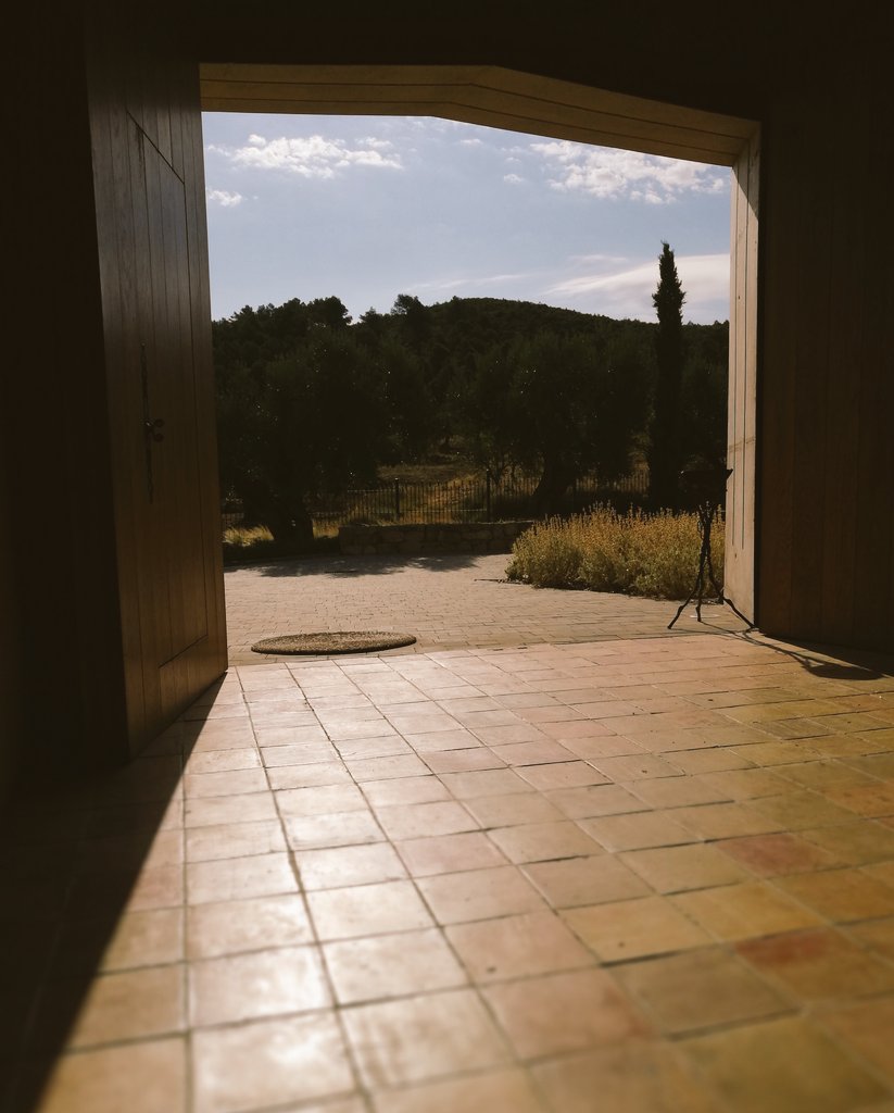 gemmabvi's tweet photo. Bon cap de setmana a tothom des de #LesVinyesdelConvent #Hortadesantjoan 🍷🍇💚 https://t.co/Ptr5jxEESz