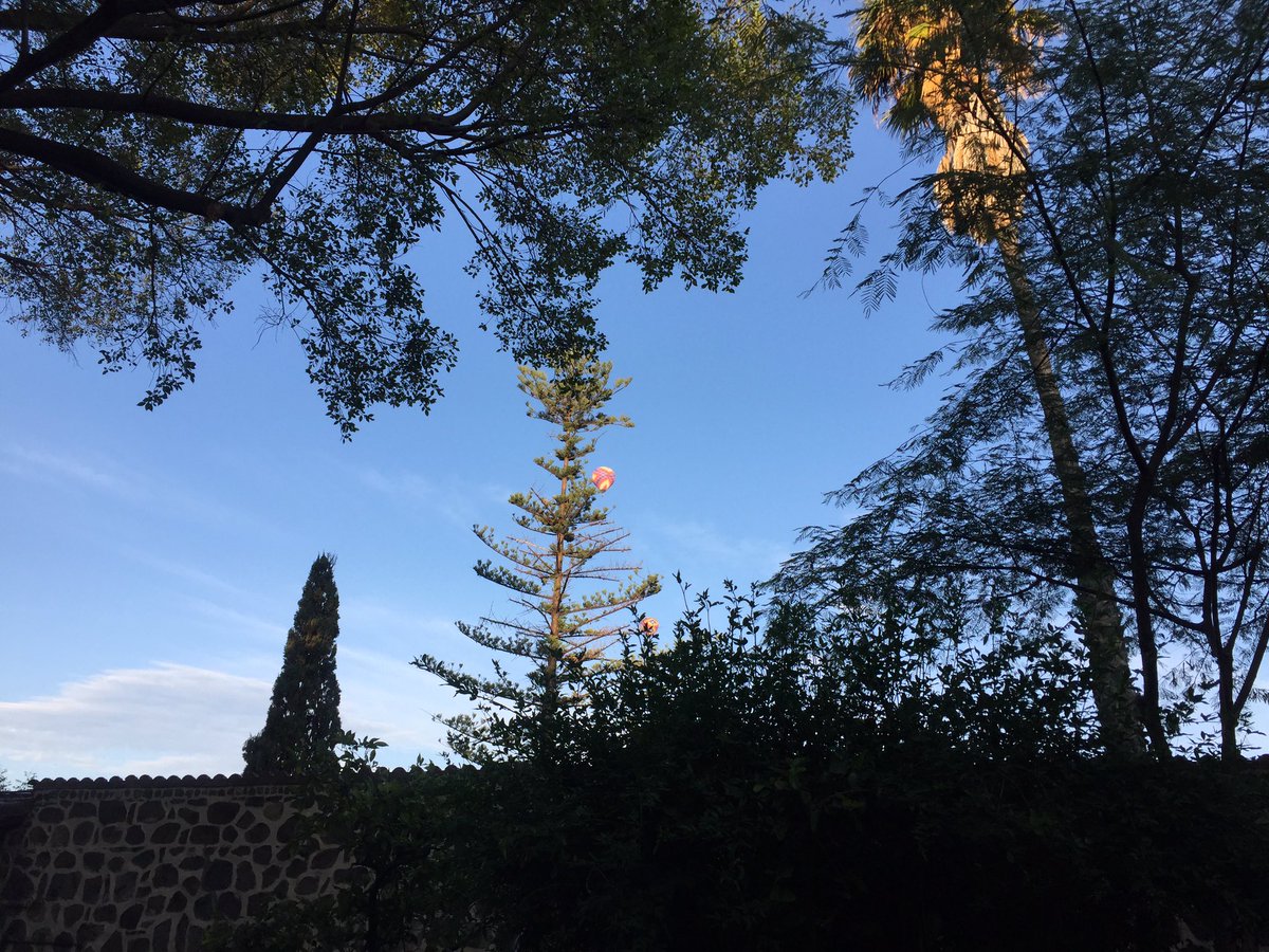 ¡Buenos días! ☀️