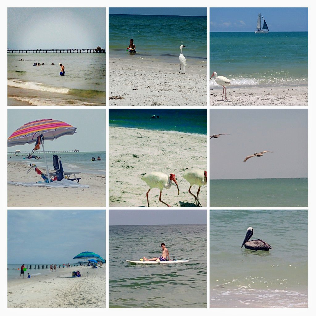 debllamb's tweet image. Where else would you rather be?
deblamb.com
#naplesisparadisetome 
#naplesfllifestyle
#naplesbeaches