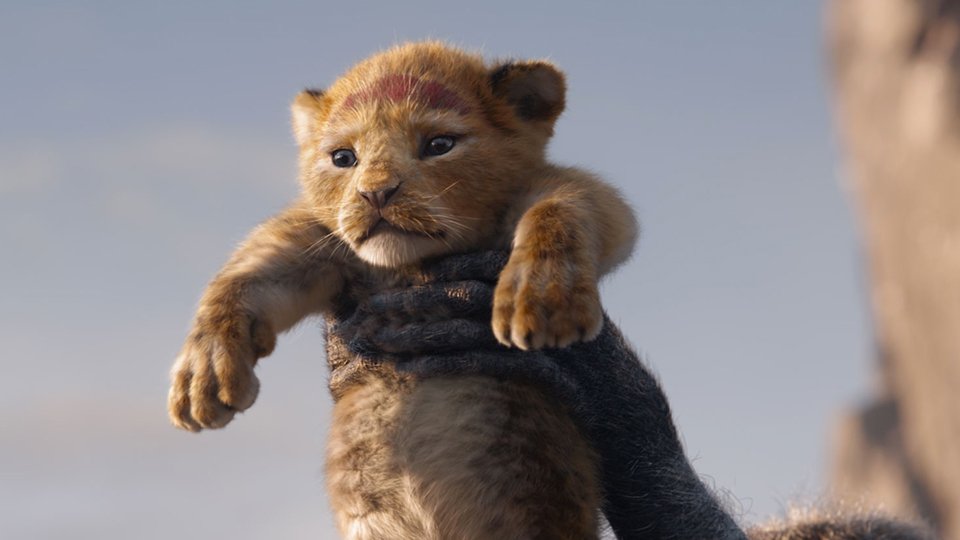 Kinepolis_FR's tweet photo. CONCOURS | #LeRoiLion

Participez à notre grand concours et remportez 4 places pour la #MatinéeMagique | Le Roi Lion le dimanche 21 juillet dans votre #Kinepolis avec le film + des animations pour petits et grands !

Pour jouer : ❤ + RT + Follow

Tirage au sort le 16 juillet 🍀 https://t.co/TeTPclfRFA
