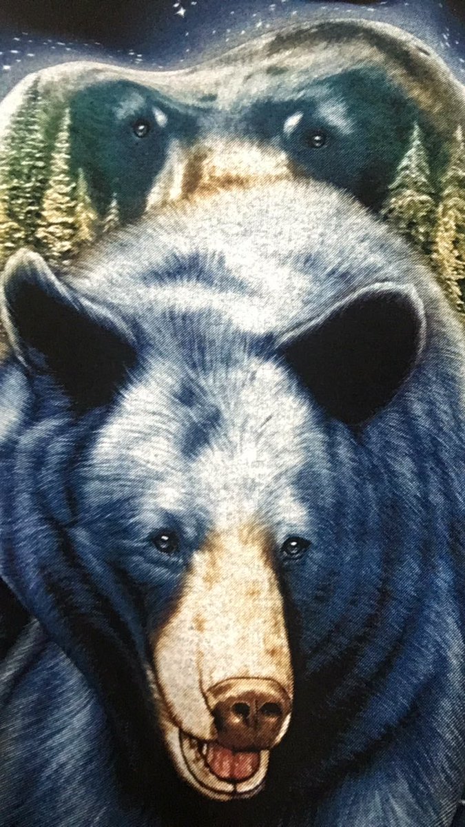 DribblingGloom's tweet photo. #tshirt #bearbehind https://t.co/4SDFkGspiD