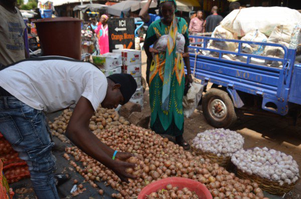 maliactu's tweet photo. #Mali : DIRE : les prix du kilogramme de l’échalote et de l'oignon sont en hausse https://t.co/5CfzXHGMHw @maliactu https://t.co/rsrMhJMDVC